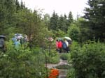 133-3342_IMG