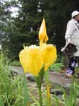 133-3346_IMG