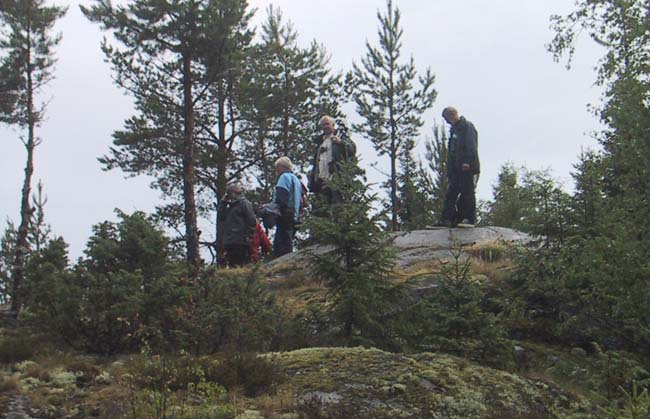 133-3347_IMG