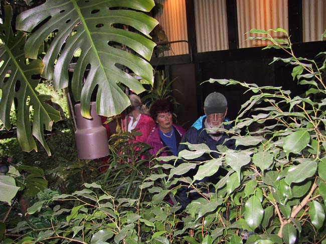 133-3348_IMG