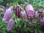 133-3306_IMG