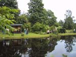 133-3375_IMG
